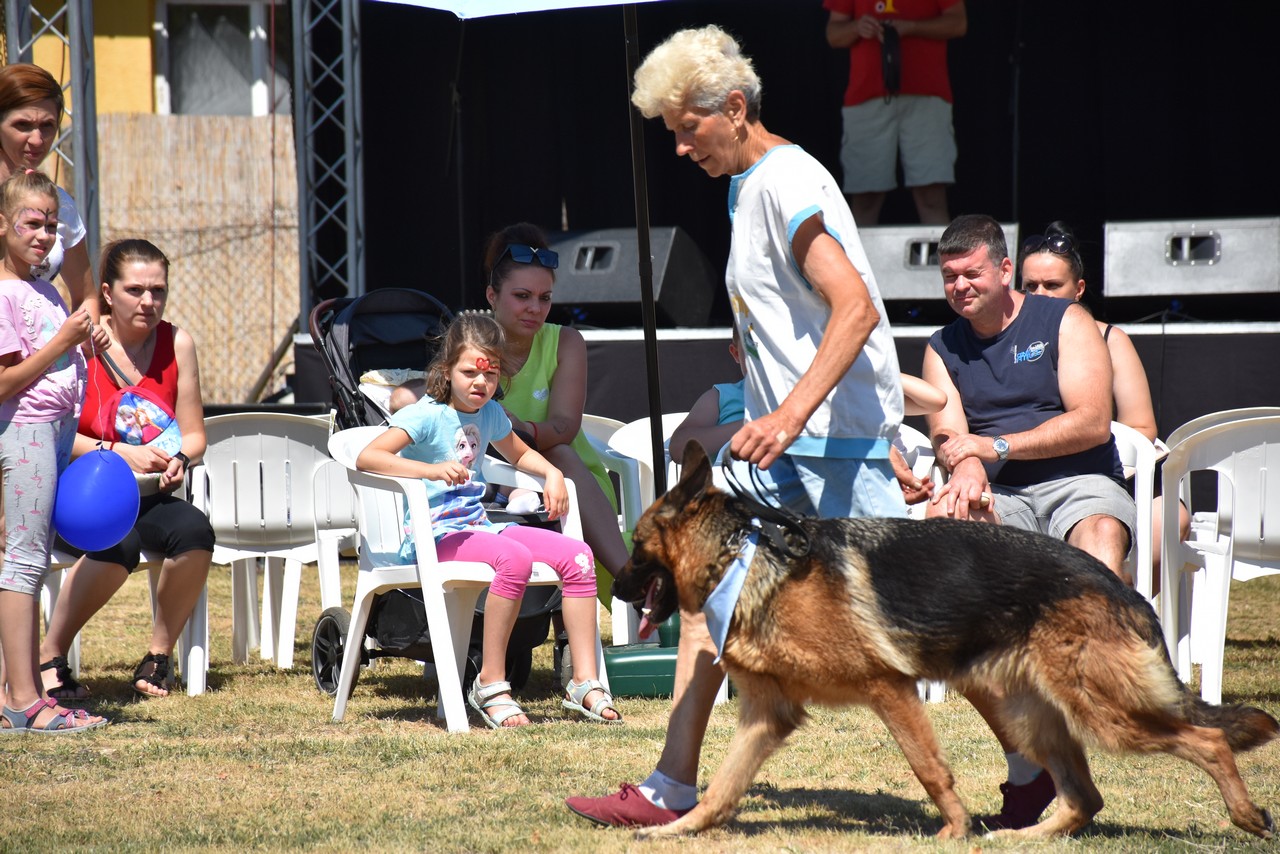 Karcagi kistrsg kzssgi fejlesztse