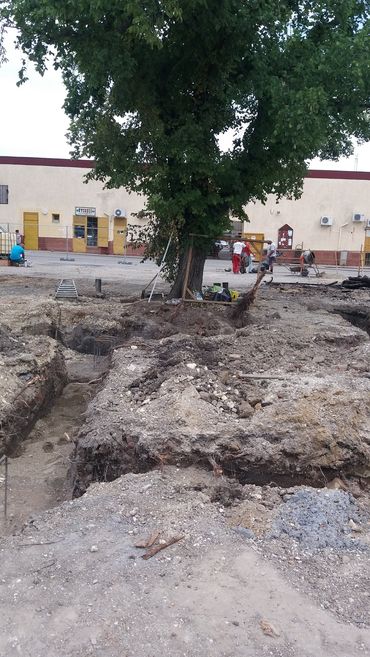 Karcagi Termkek Piaca