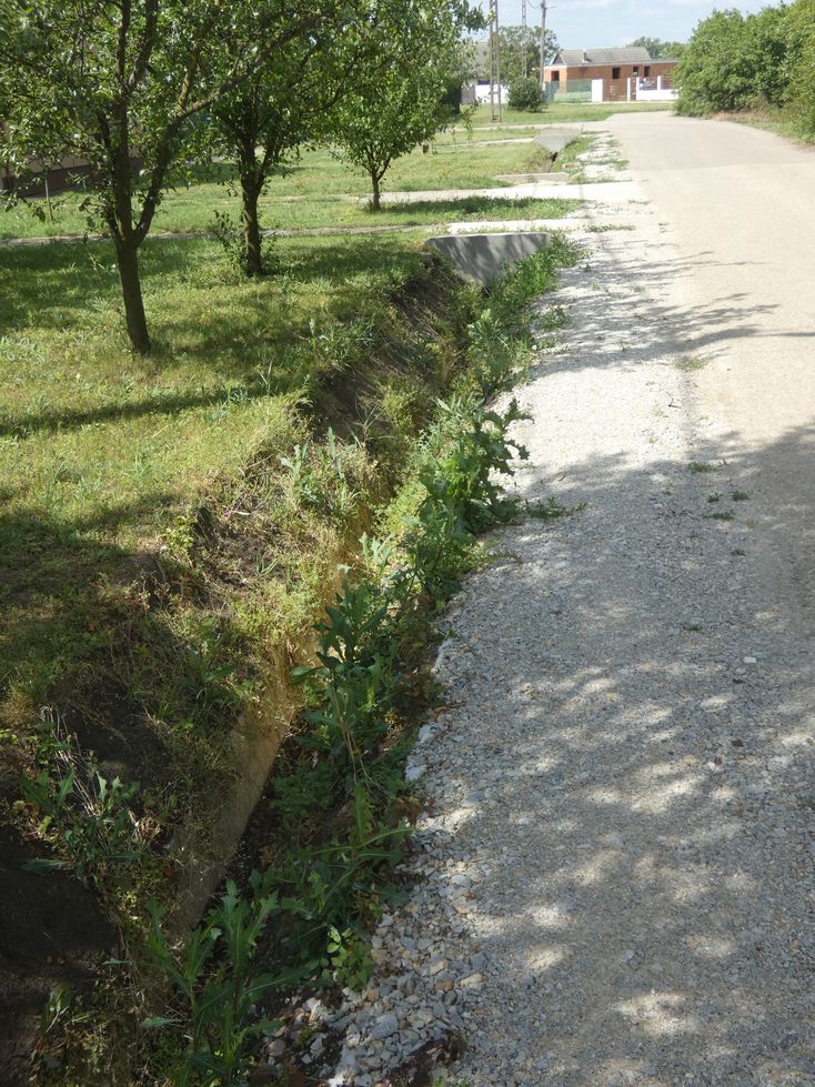 Nagyvnkerti projekt csapadkvz elvezets