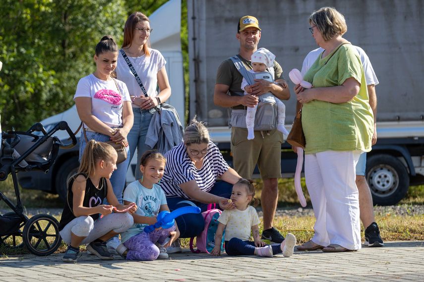 Nagyv�nkerti projekt csapad�kv�z elvezet�s